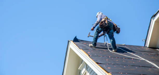 Roof Gutter Cleaning in Stallion Springs, CA